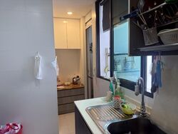 Esparina Residences (D19), Condominium #508621571